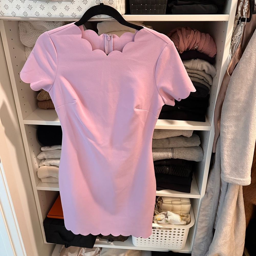 NWT Likely Manhattan Women’s Scalloped Neck & Hem Lilac Dress 4